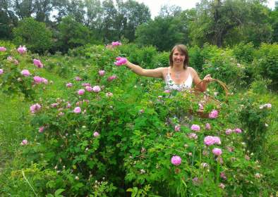 Szentábrahámi Herb Garden